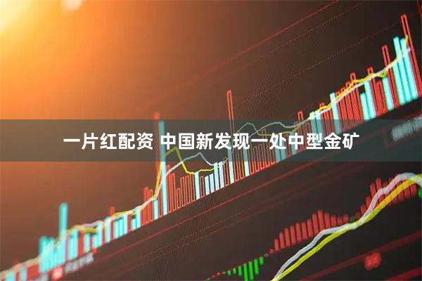 一片红配资 中国新发现一处中型金矿