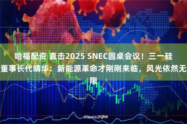 哈福配资 直击2025 SNEC圆桌会议！三一硅能董事长代晴华：新能源革命才刚刚来临，风光依然无限