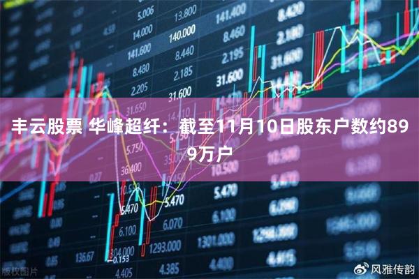 丰云股票 华峰超纤：截至11月10日股东户数约899万户